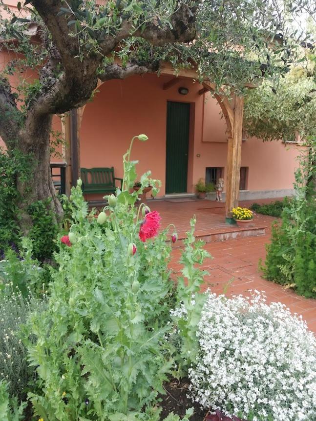 Villa Giuliana Vigonza Luaran gambar